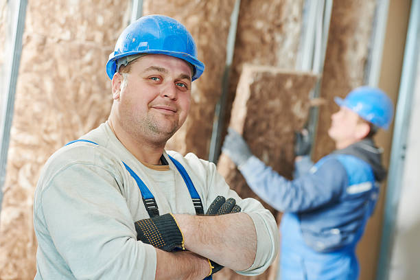 Best Eco-Friendly or Green Insulation Solutions  in South Elgin, IL